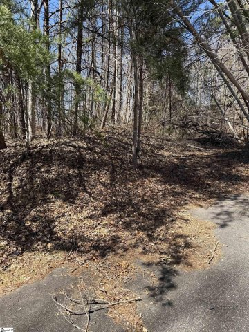 Links Ledge Lot 17 active home in Cliffs Valley, Travelers Rest, SC