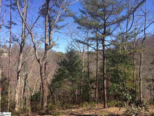 18 Angle Stone Way active home in Cliffs Valley, Travelers Rest, SC
