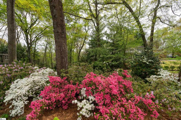 78 Woodvale Avenue active home in Augusta Road, Greenville, SC