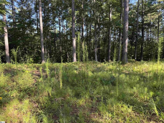 527 Brookgreen Trail active home in The Cliffs At Keowee Falls South, Salem, SC