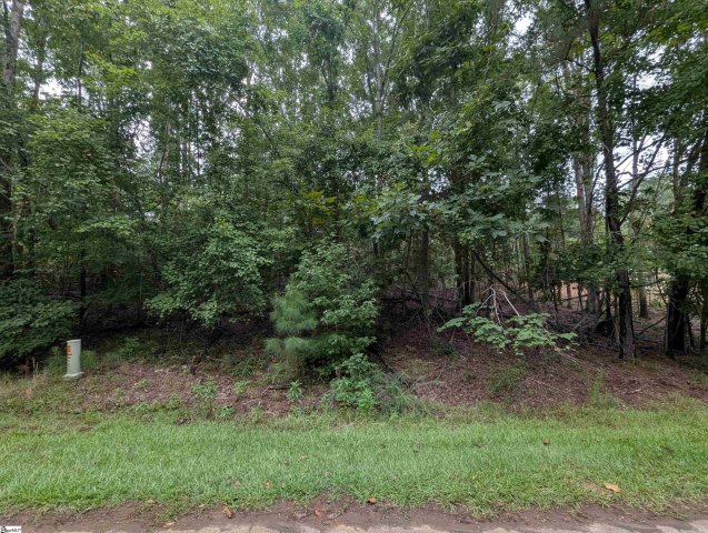 00 E Peninsula Drive Lot 134 active home in Lake Rabon Estates, Laurens, SC