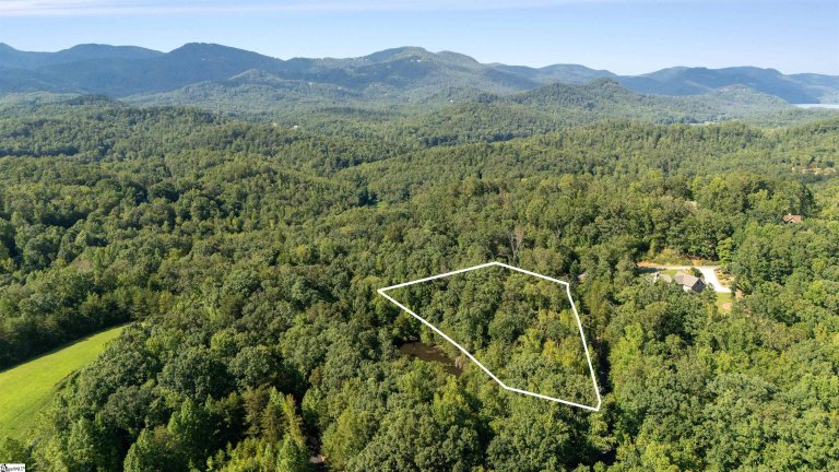 Homes in Crescent Mountain Vineyard, Travelers Rest