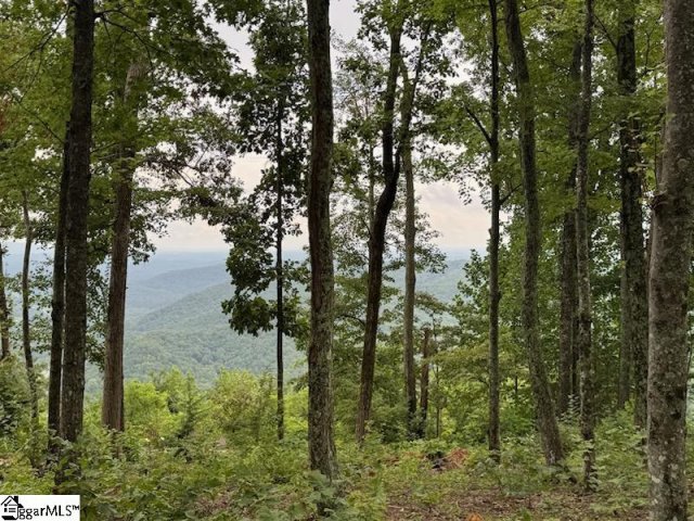 1534 Panther Park Trail active home in Cliffs Valley, Travelers Rest, SC