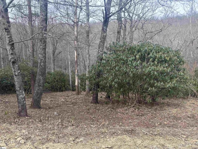 24 Blazing Star Trail active home in The Cliffs At Glassy, Landrum, SC