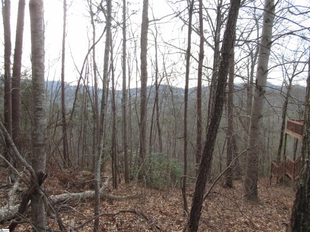 107 Lone Rock Court sold home in Whispering Falls, Pickens, SC