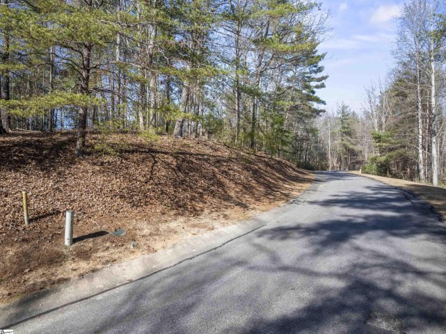 318 Ginseng Drive active home in The Cliffs At Keowee Vineyards, Sunset, SC
