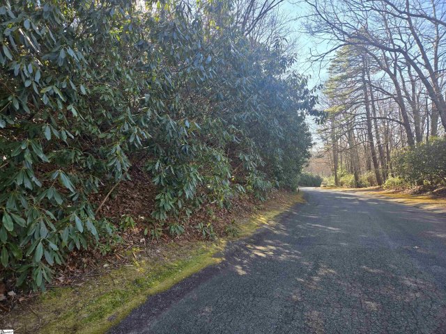 616 Cliff Ridge Drive active home in Cliff Ridge At Caesars Head, Cleveland, SC