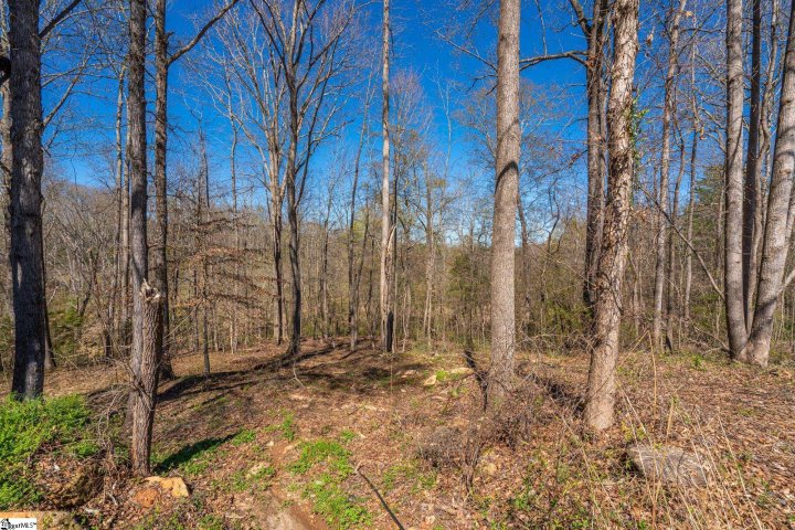 6 Bagwell Place sold home in Oak Creek, Spartanburg, SC