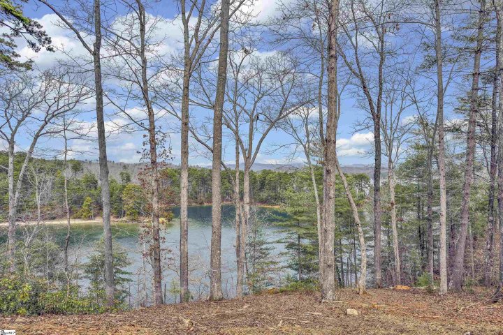731 Barberry Court active home in The Cliffs At Keowee Falls South, Salem, SC