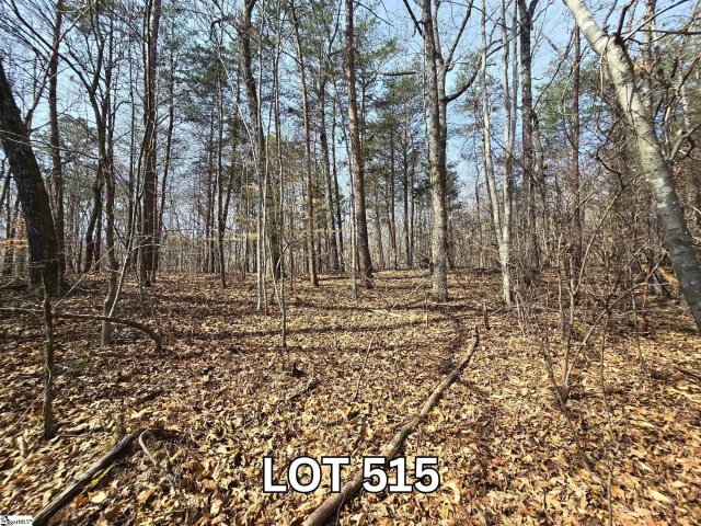 Lot 515 Point Road active home in Chickasaw Point, Westminster, SC