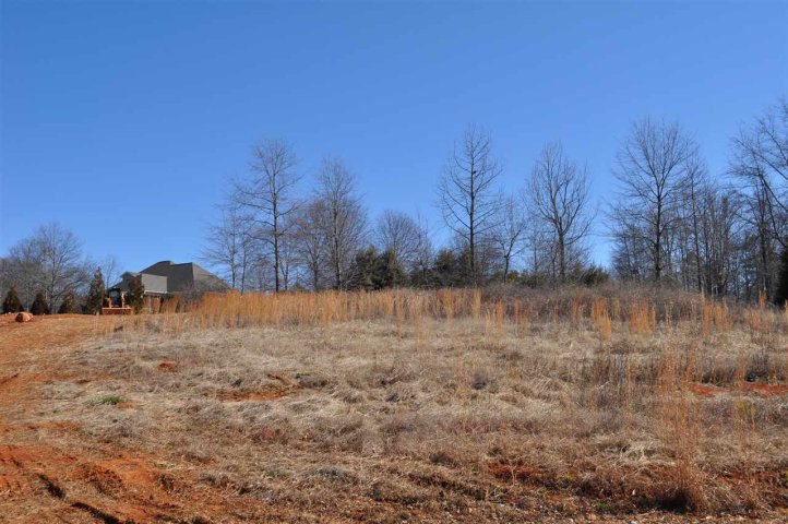 734 N Alamosa Drive sold home in Canyon Creek, Boiling Springs, SC