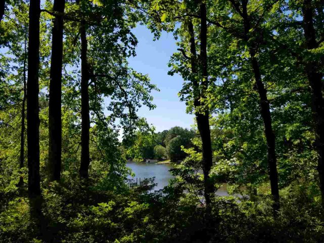0 Butler Road sold home in Lake Lyman, Lyman, SC