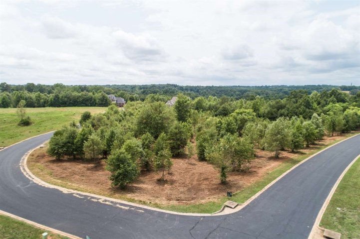 247 Prominence Ridge Drive sold home in Prominence Ridge, Chesnee, SC