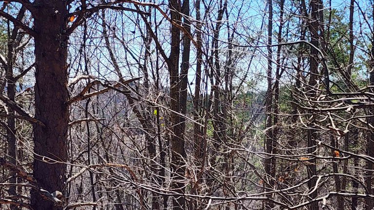 320 Foggy Cut Lane sold home in Cliffs Glassy, Landrum, SC