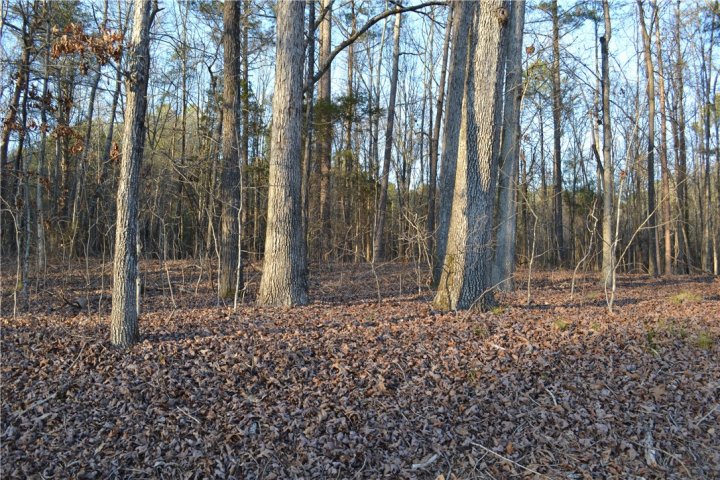 1000 Pintail Point Road sold home in Pintail Point, Anderson, SC