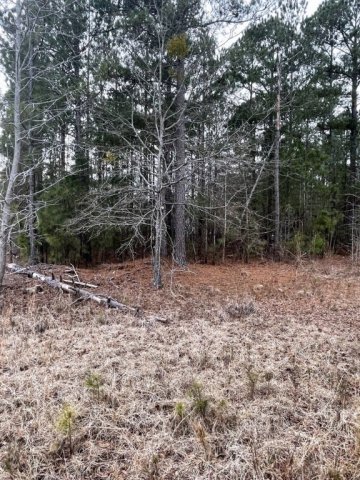 2713 Broadway Lake Road sold home in High Creek Acres, Anderson, SC