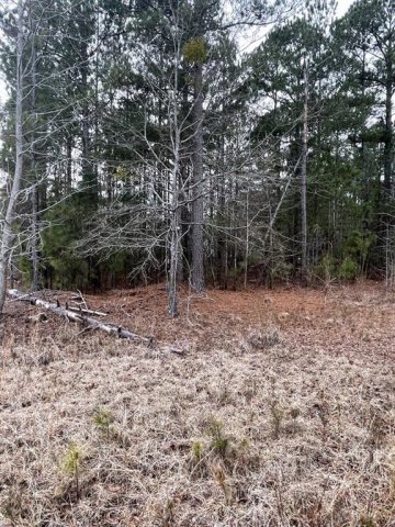 2711 Broadway Lake Road sold home in High Creek Acres, Anderson, SC