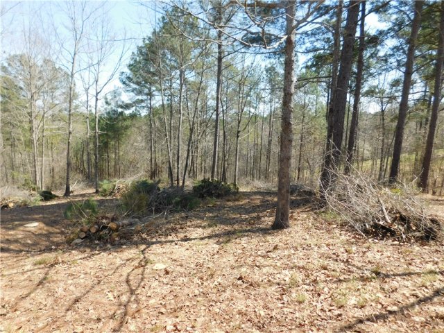 306 Eagle'S Bend Trail active home in Cliffs At Keowee Falls South, Salem, SC