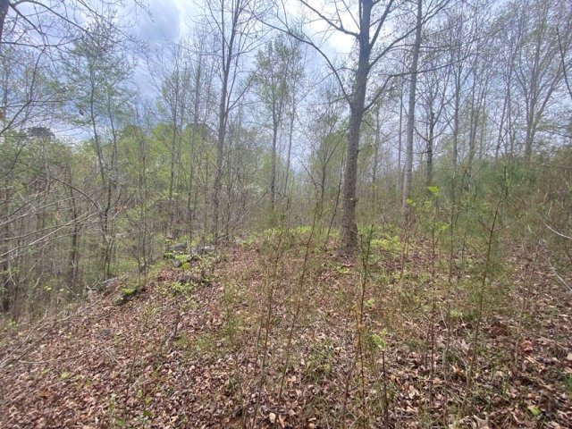 580 Edgewater Trail sold home in Currahee Club, Toccoa, GA