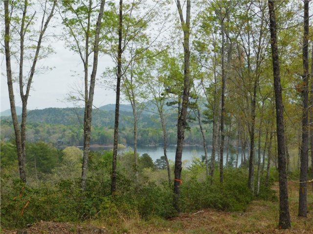 Lot 1 Old Chapman Bridge Road active home in Cliffs At Keowee Falls South, Salem, SC