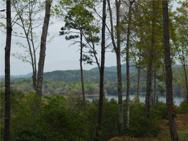 Lot 2 Old Chapman Bridge Road active home in Cliffs At Keowee Falls South, Salem, SC