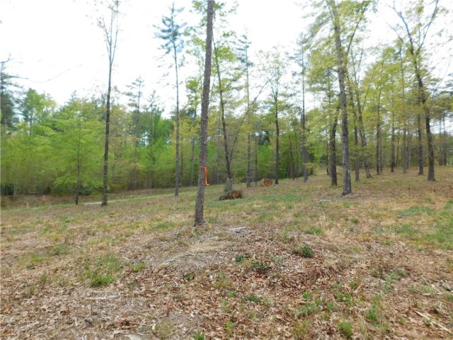 Lot 3 Old Chapman Bridge Road active home in Cliffs At Keowee Falls South, Salem, SC
