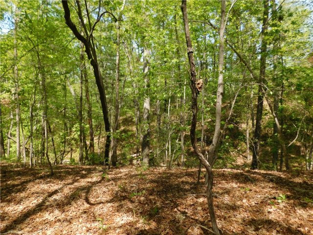 925 Mountain Breeze Lane active home in Cliffs At Keowee Falls North, Salem, SC