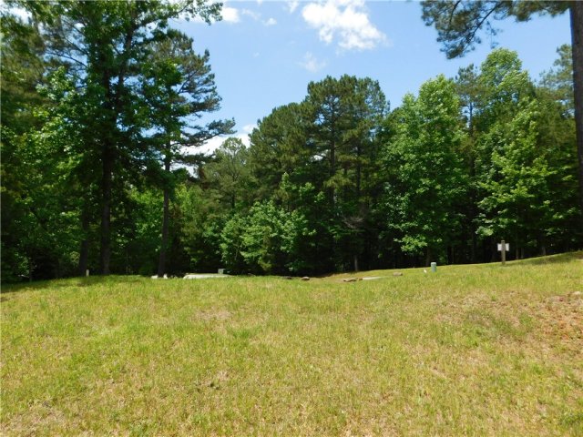 305 Broadleaf Court active home in Cliffs At Keowee Falls South, Salem, SC