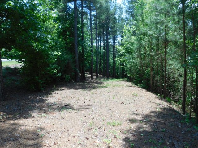 309 Broadleaf Court active home in Cliffs At Keowee Falls South, Salem, SC