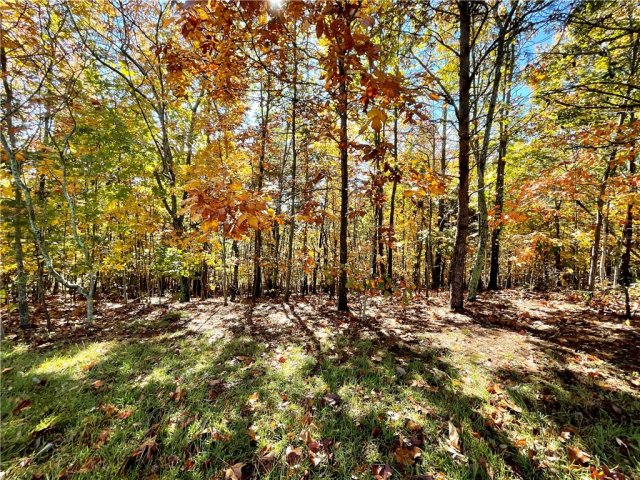 205 Long View Court sold home in Six Mile Ridge, Pickens, SC
