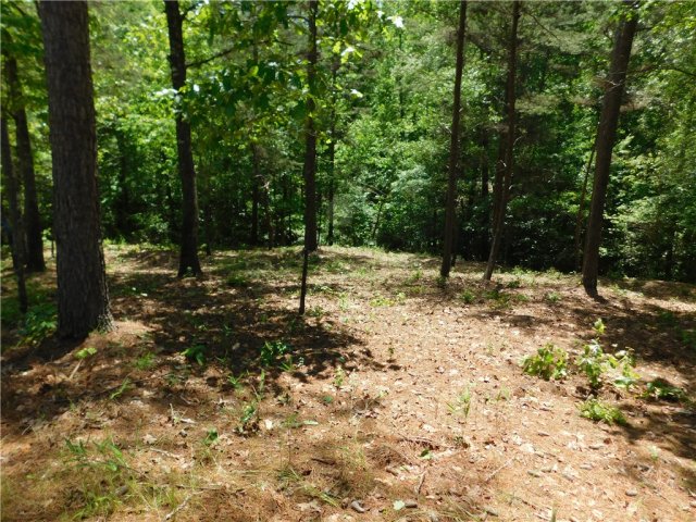 Lot 12 Canebrake Drive active home in Cliffs At Keowee Falls South, Salem, SC