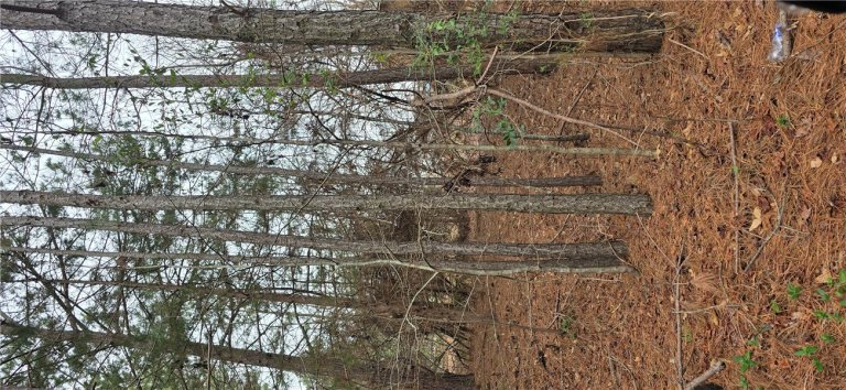 102 Pleasant Valley Drive sold home in High Creek Acres, Anderson, SC