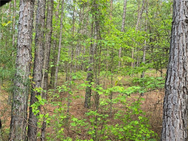 113 Rolling Hill Drive sold home in High Creek Acres, Anderson, SC