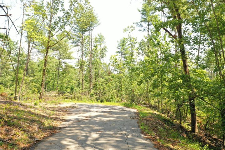 113 Sweetshrub Court active home in Cliffs At Keowee Vineyards, Sunset, SC