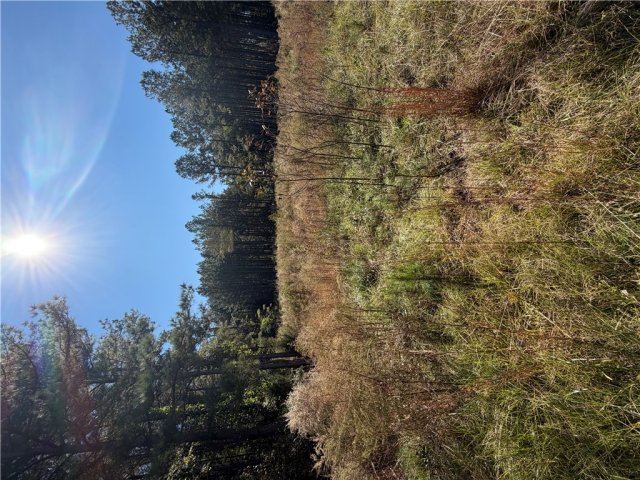 31 Waterside Point sold home in Great Waters, Abbeville, SC