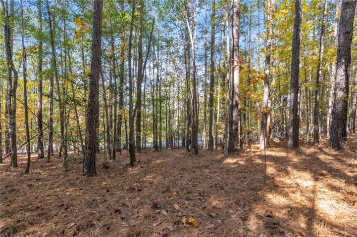 Lot 202 Waterside Crossing (Shorewinds Ct) sold home in Waterside Crossing, Seneca, SC