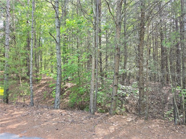 110 Pleasant Valley Drive pending home in High Creek Acres, Anderson, SC