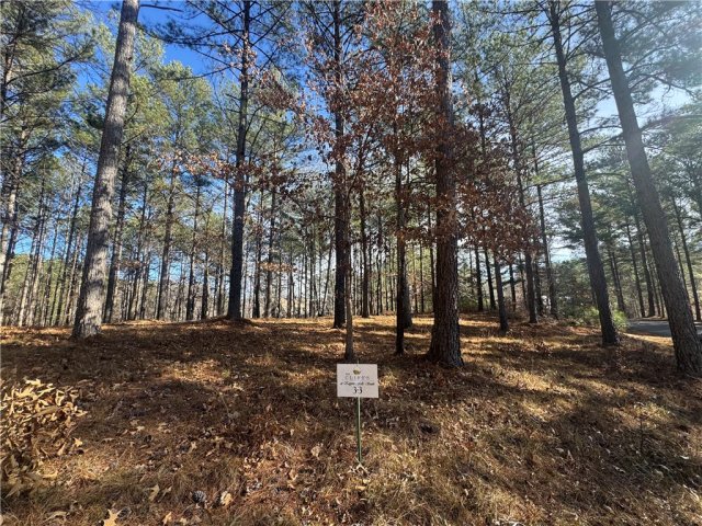 801 Mirror Lake Court active home in Cliffs At Keowee Falls South, Salem, SC
