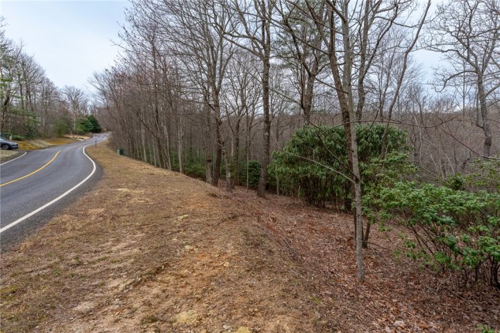 24 Blazing Star Trail active home in Cliffs At Glassy, Landrum, SC