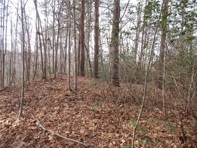110 Fireside Lane active home in Rock At Jocassee, Pickens, SC