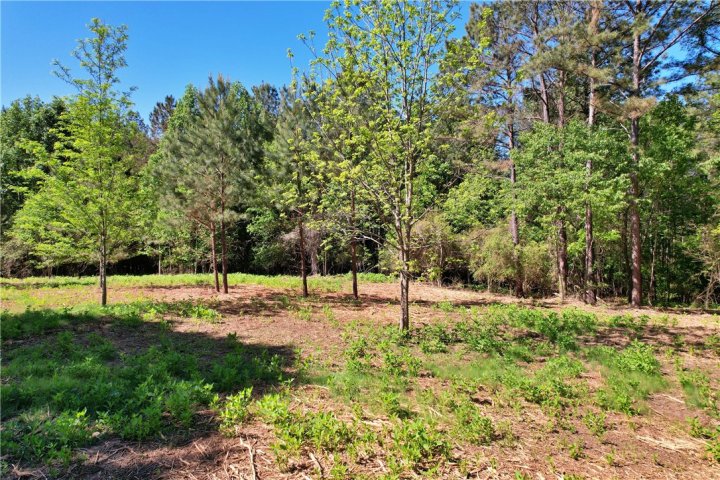Lot 134 Mcalister Road active home in Peninsula Pointe North, West Union, SC