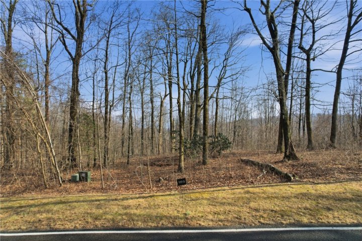 116 Witch Hazel Trail active home in Cliffs At Glassy, Landrum, SC
