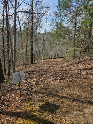 Lot 43 C@Kfs High Ridge Deerchase Court active home in Cliffs At Keowee Falls South, Salem, SC