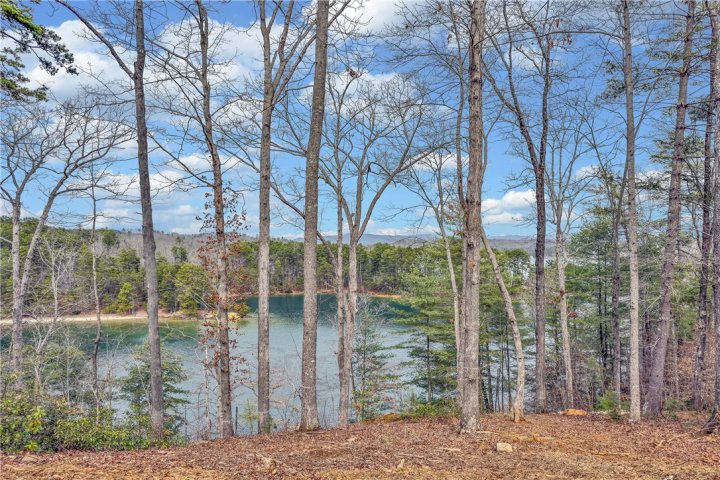731 Barberry Court active home in Cliffs At Keowee Falls South, Salem, SC