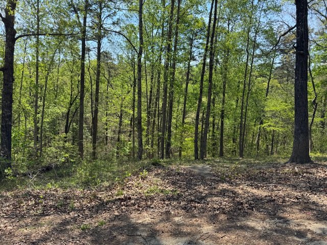 Homes in Shorewood, Toccoa