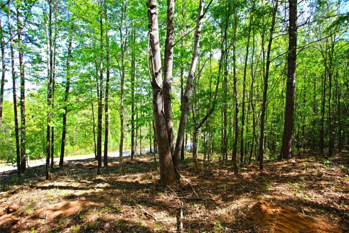 Lot 91 Harbor Point sold home in Harbor Point, Seneca, SC