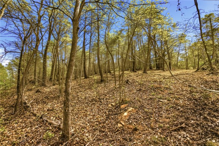 Lot 36 Brandywine Drive active home in Foxwood Hills, Westminster, SC