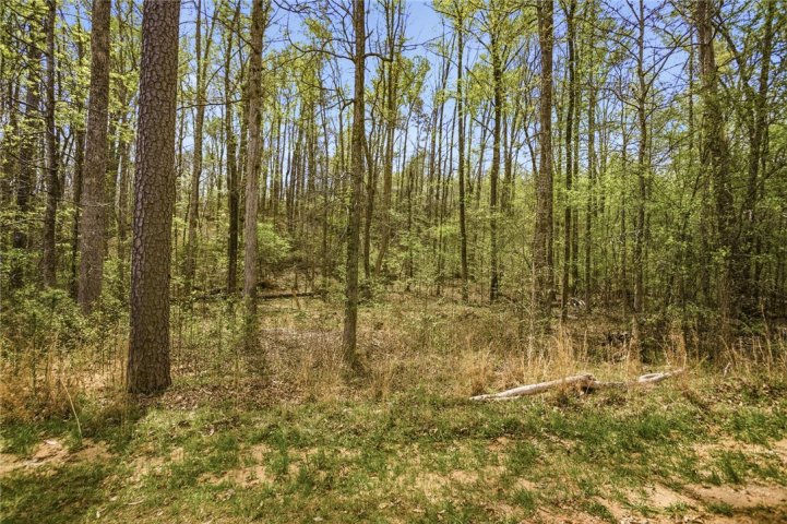 Lot 48 Brandywine Drive active home in Foxwood Hills, Westminster, SC