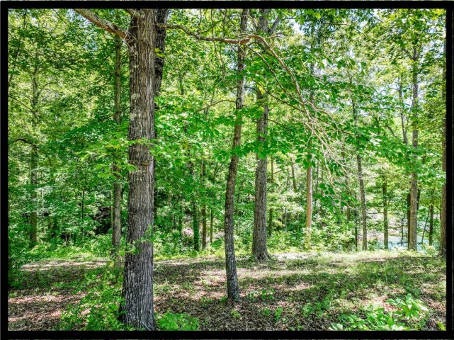 Homes in Keowee, Seneca