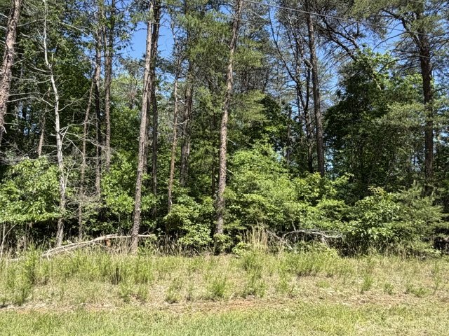 Lots 156 & 157 Beech Drive active home in Foxwood Hills, Westminster, SC